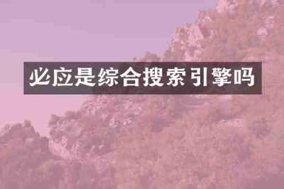 必应是综合搜索引擎吗