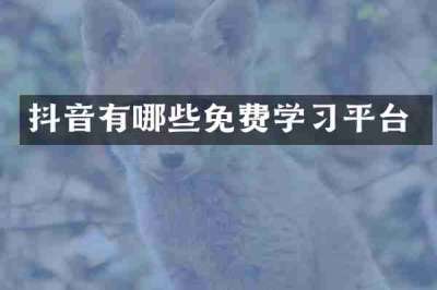 抖音有哪些免费学习平台