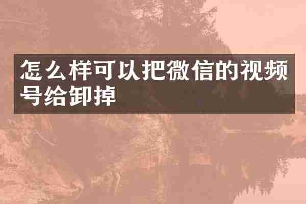 怎么样可以把微信的视频号给卸掉