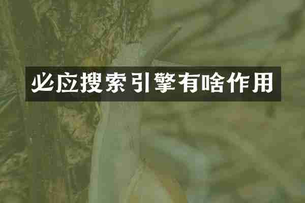 必应搜索引擎有啥作用