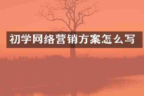初学网络营销方案怎么写