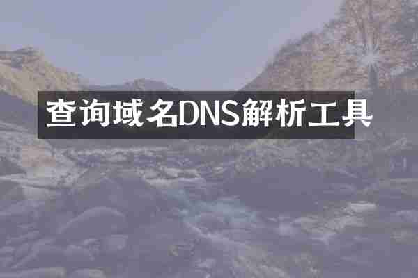查询域名DNS解析工具