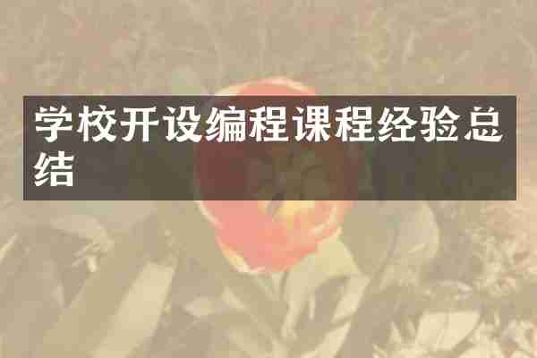 学校开设编程课程经验总结