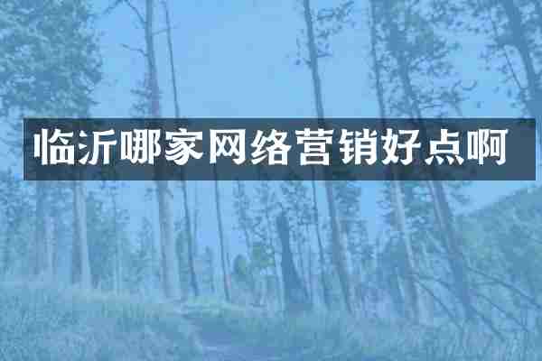 临沂哪家网络营销好点啊