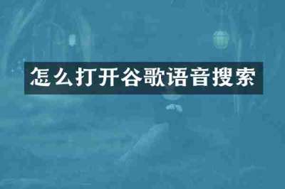 怎么打开谷歌语音搜索
