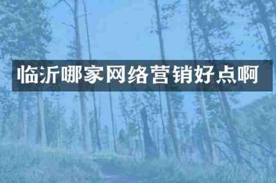 临沂哪家网络营销好点啊