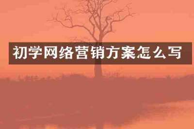 初学网络营销方案怎么写