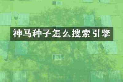 神马种子怎么搜索引擎