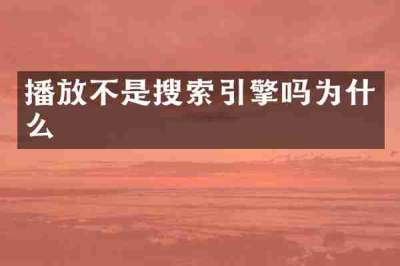 播放不是搜索引擎吗为什么