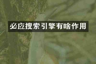 必应搜索引擎有啥作用