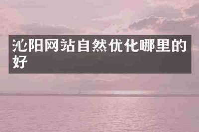 沁阳网站自然优化哪里的好