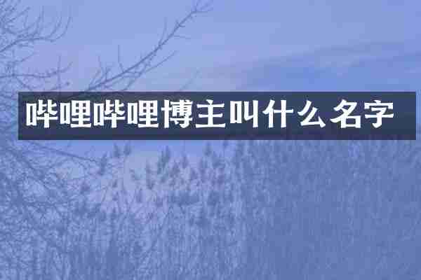 哔哩哔哩博主叫什么名字
