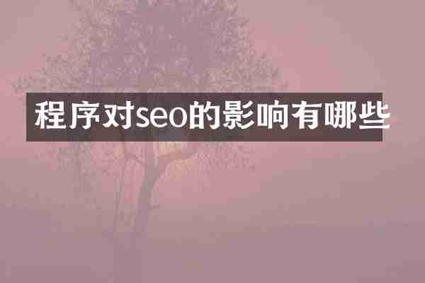 程序对seo的影响有哪些
