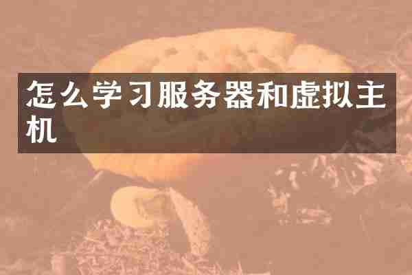 怎么学习服务器和虚拟主机