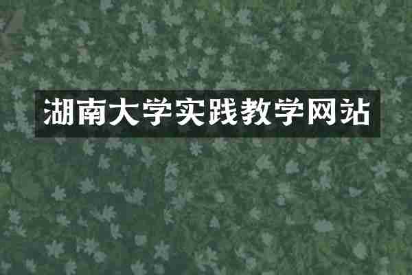 湖南大学实践教学网站
