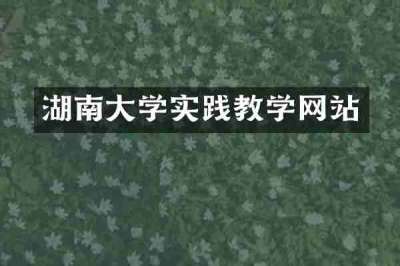 湖南大学实践教学网站