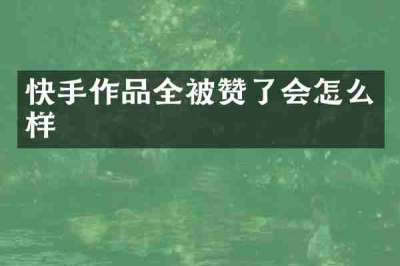快手作品全被赞了会怎么样