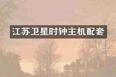 江苏卫星时钟主机配套