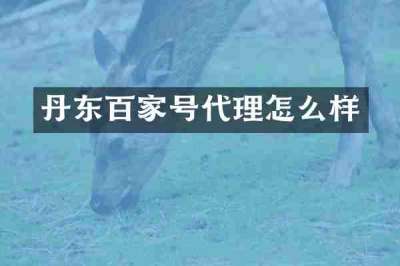 丹东百家号代理怎么样