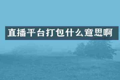 直播平台打包什么意思啊