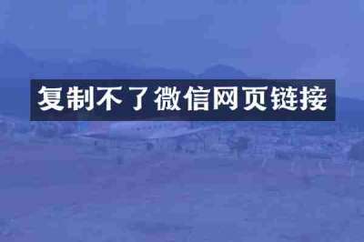 复制不了微信网页链接