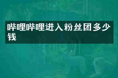 哔哩哔哩进入粉丝团多少钱