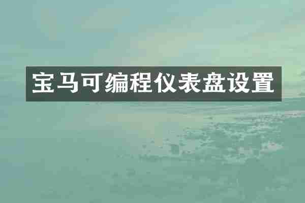 宝马可编程仪表盘设置