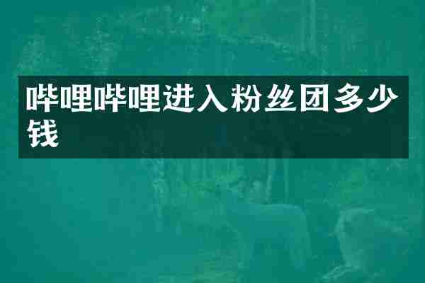哔哩哔哩进入粉丝团多少钱