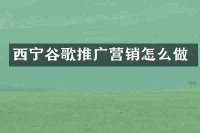 西宁谷歌推广营销怎么做