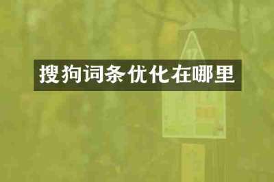 搜狗词条优化在哪里