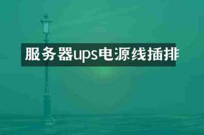 服务器ups电源线插排