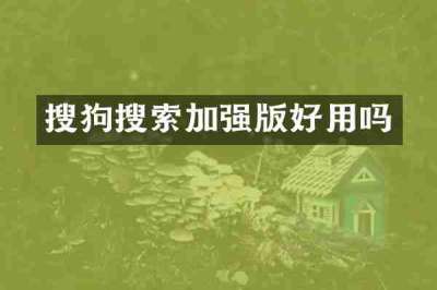 搜狗搜索加强版好用吗
