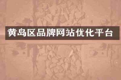 黄岛区品牌网站优化平台
