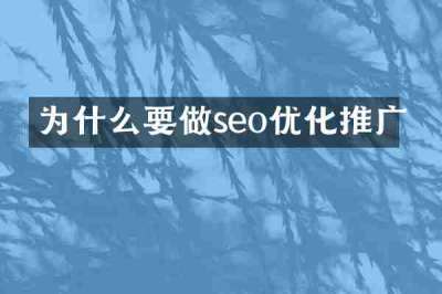 为什么要做seo优化推广