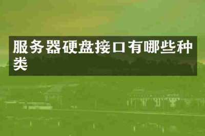 服务器硬盘接口有哪些种类