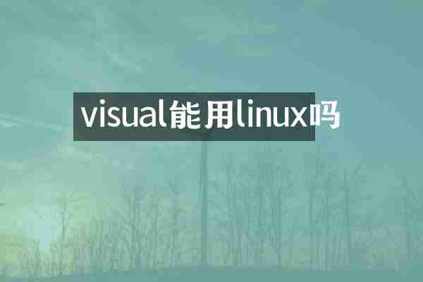 visual能用linux吗