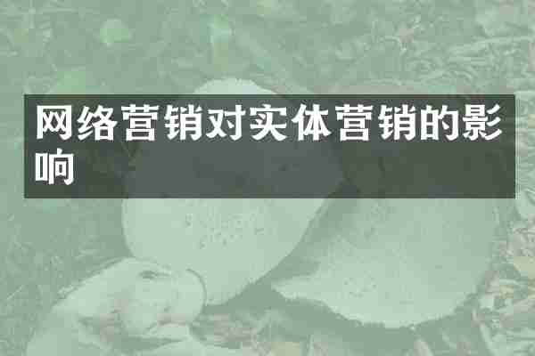 网络营销对实体营销的影响