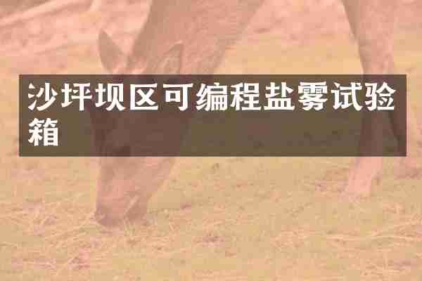 沙坪坝区可编程盐雾试验箱