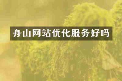 舟山网站优化服务好吗