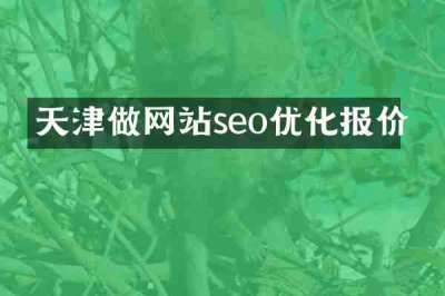 天津做网站seo优化报价