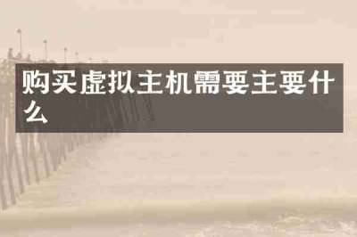 购买虚拟主机需要主要什么