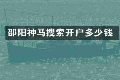 邵阳神马搜索开户多少钱