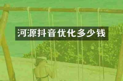 河源抖音优化多少钱