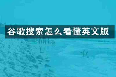谷歌搜索怎么看懂英文版