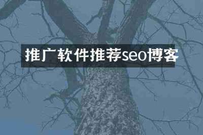 推广软件推荐seo博客