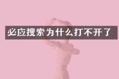 必应搜索为什么打不开了