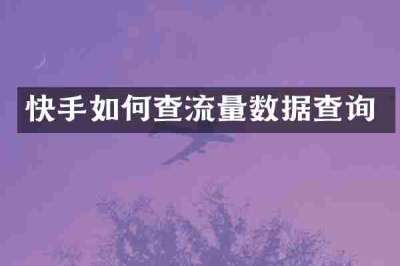 快手如何查流量数据查询