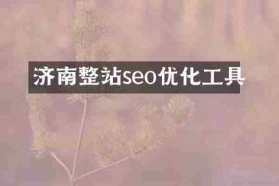 济南整站seo优化工具