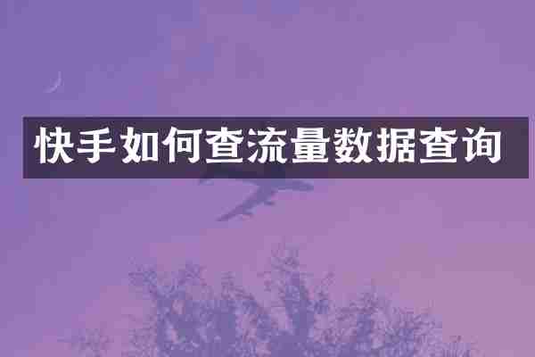 快手如何查流量数据查询