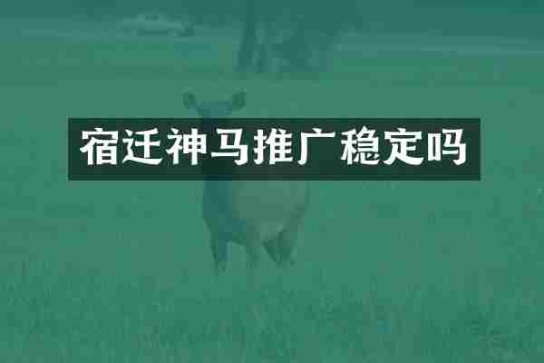 宿迁神马推广稳定吗